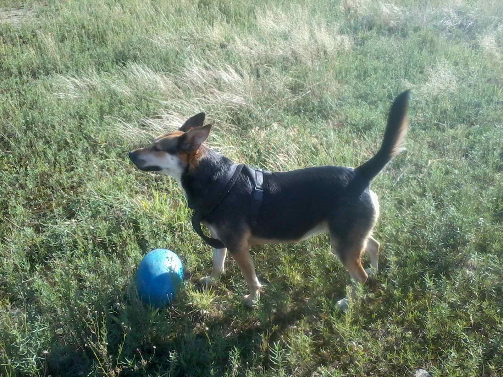 2012-09-19 16.29.02.jpg